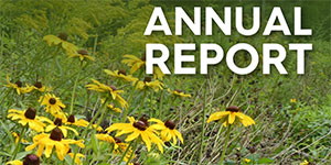 Annual Report