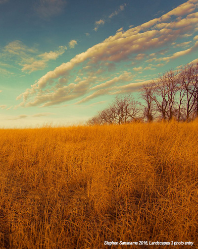 Open Space Photo 4