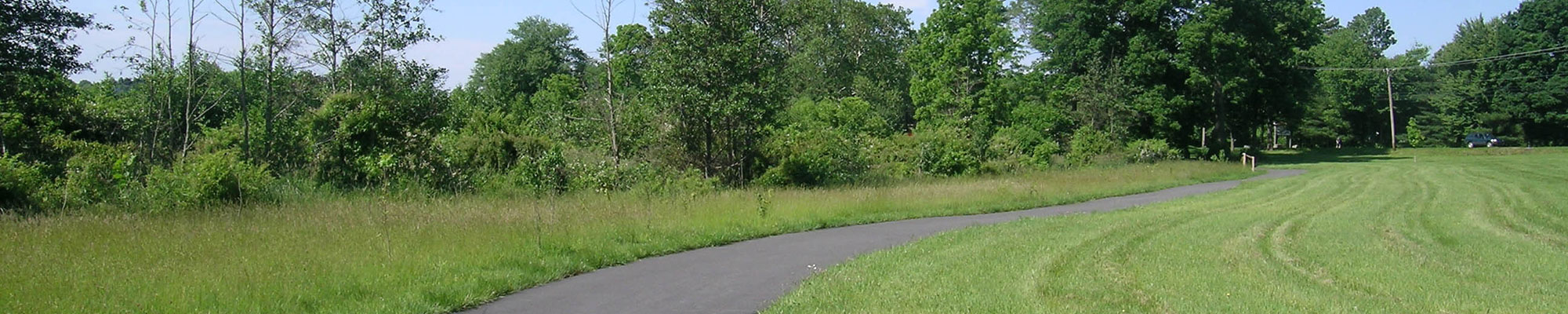 trail at east goshen park and trees