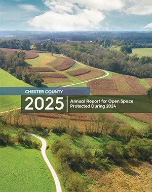 annual report cover
