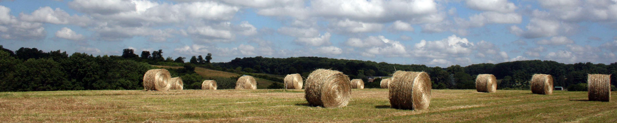 open field with hay bails