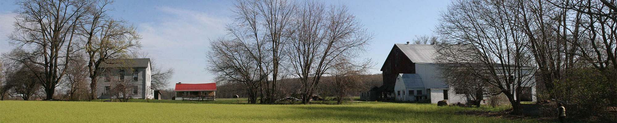 farm